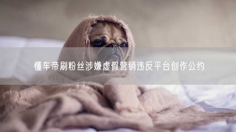 懂车帝刷粉丝涉嫌虚假营销违反平台创作公约