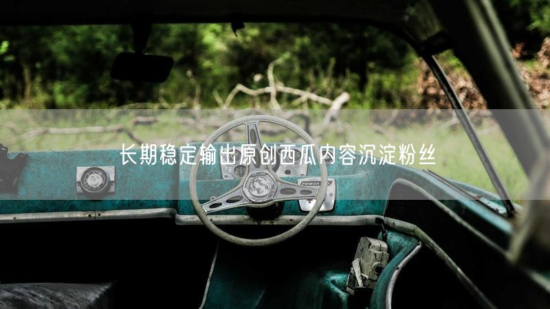 长期稳定输出原创西瓜内容沉淀粉丝