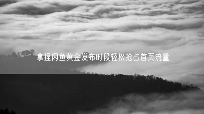 拿捏闲鱼黄金发布时段轻松抢占首页流量