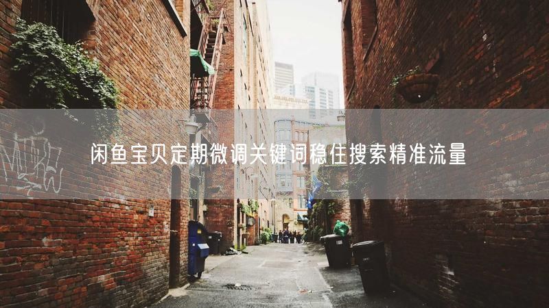 闲鱼宝贝定期微调关键词稳住搜索精准流量
