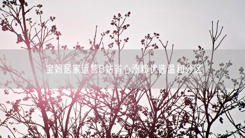 宝妈居家运营B站省心涨粉优选温和分区