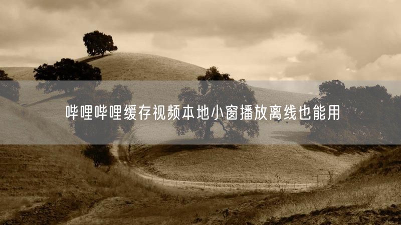 哔哩哔哩缓存视频本地小窗播放离线也能用