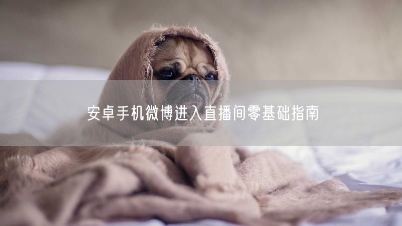 安卓手机微博进入直播间零基础指南