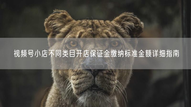 视频号小店不同类目开店保证金缴纳标准金额详细指南