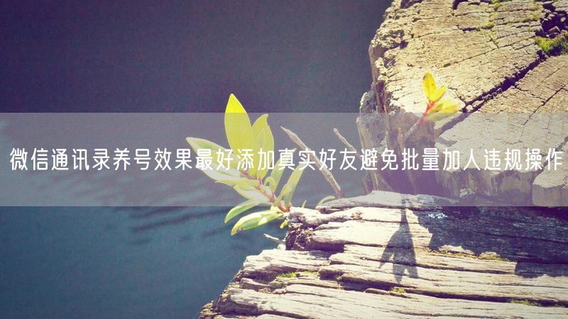 微信通讯录养号效果最好添加真实好友避免批量加人违规操作