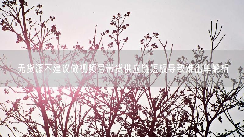 无货源不建议做视频号带货供应链短板导致难出单解析