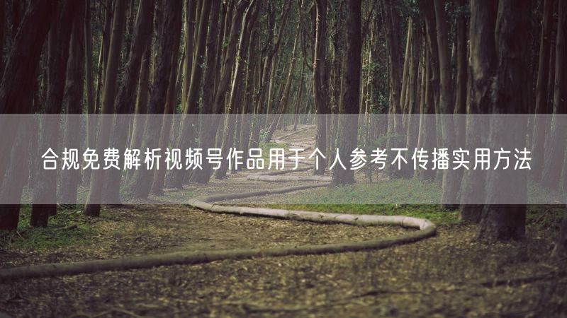合规免费解析视频号作品用于个人参考不传播实用方法