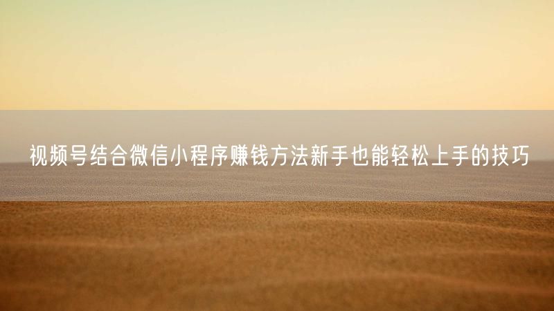 视频号结合微信小程序赚钱方法新手也能轻松上手的技巧