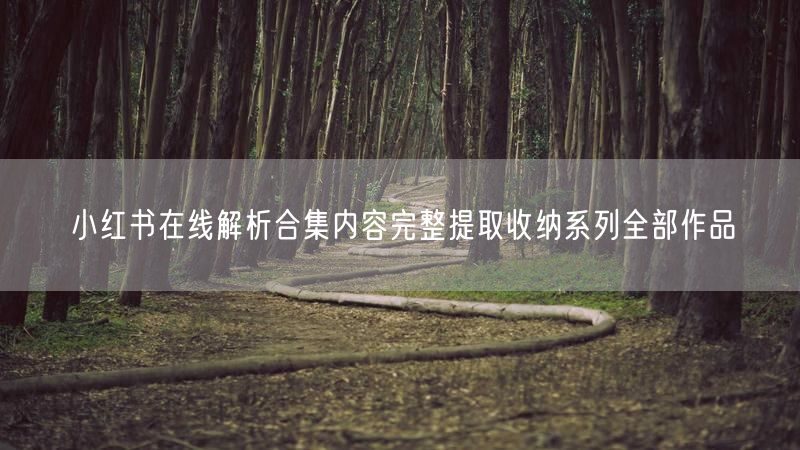 小红书在线解析合集内容完整提取收纳系列全部作品