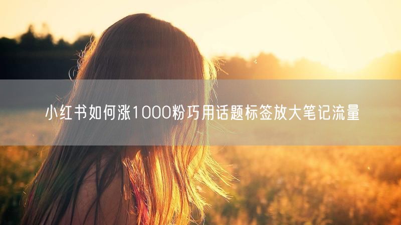 小红书如何涨1000粉巧用话题标签放大笔记流量