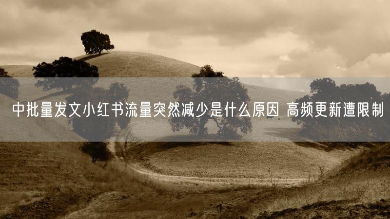 中批量发文小红书流量突然减少是什么原因 高频更新遭限制