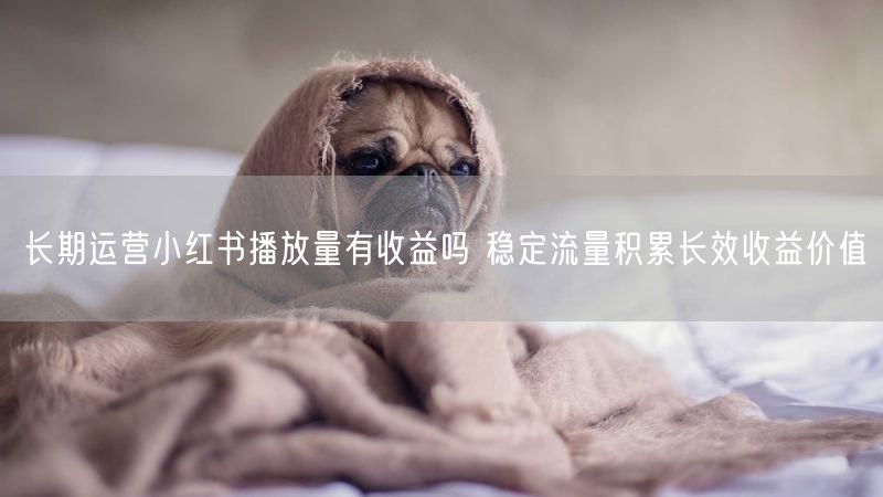 长期运营小红书播放量有收益吗 稳定流量积累长效收益价值