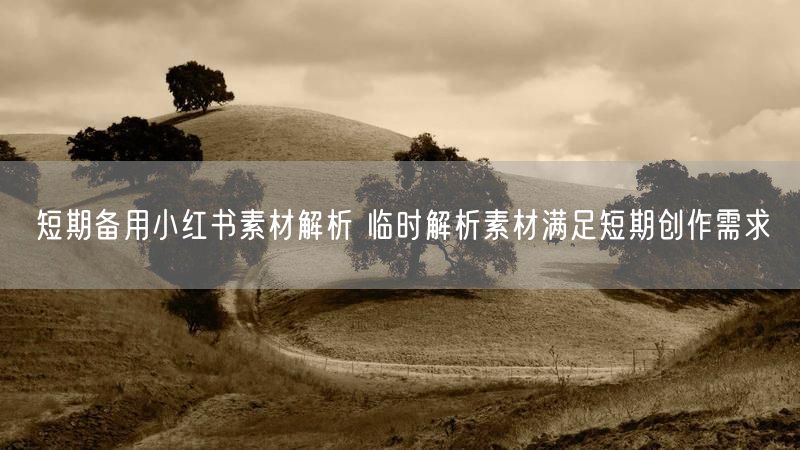 短期备用小红书素材解析 临时解析素材满足短期创作需求
