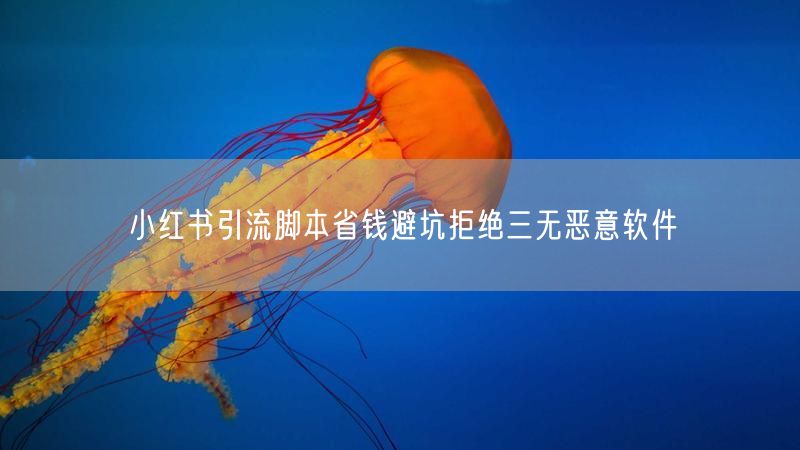 小红书引流脚本省钱避坑拒绝三无恶意软件