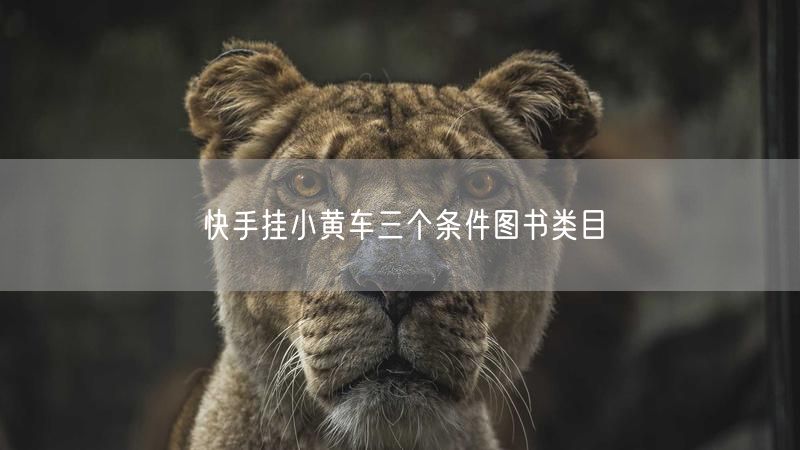快手挂小黄车三个条件图书类目