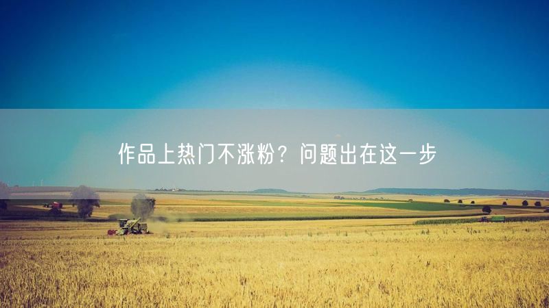 作品上热门不涨粉？问题出在这一步
